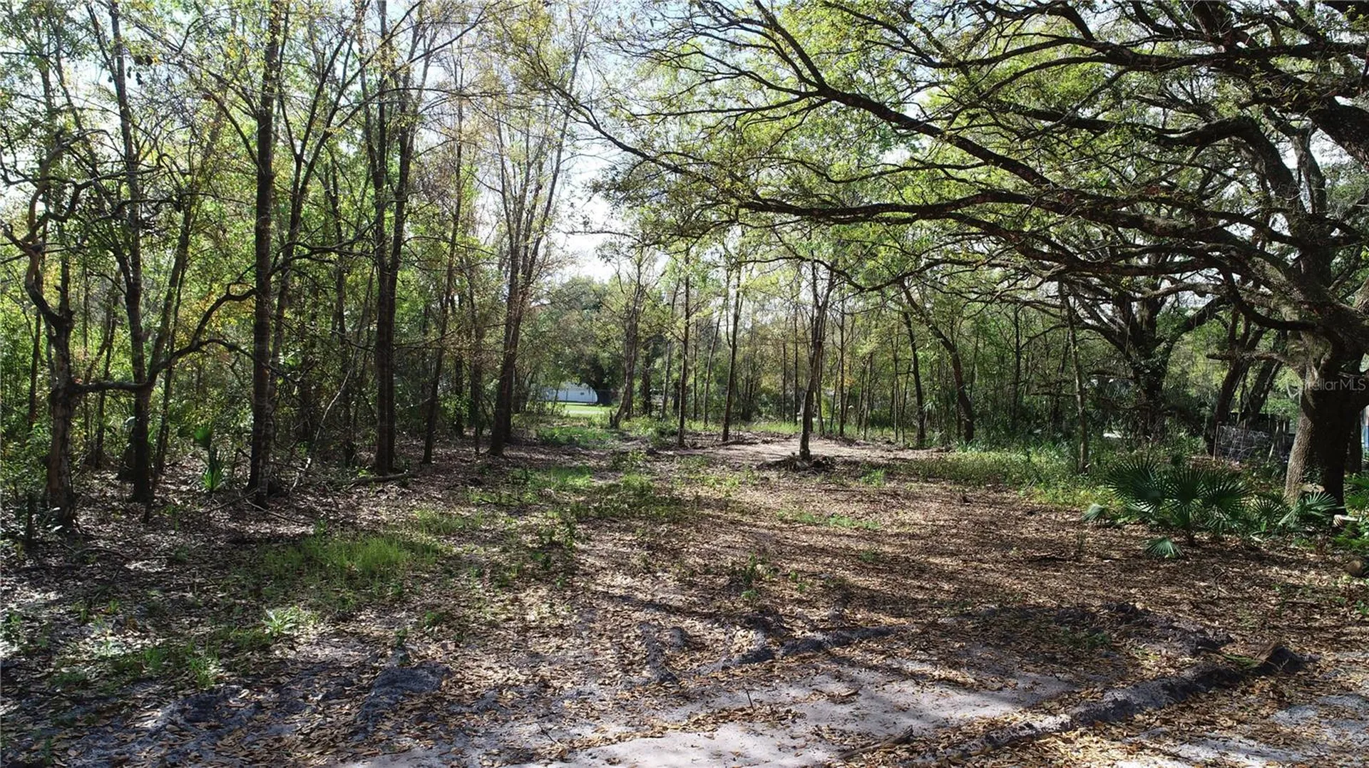 Cedarhurst Road Orlando FL 32820