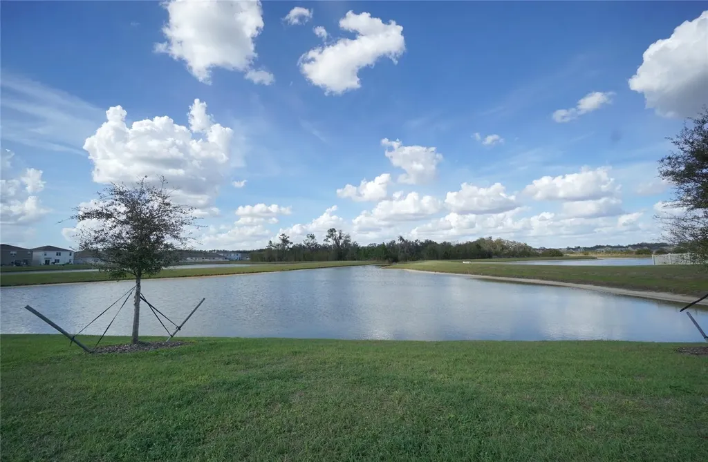33700 Jasper Stone Drive Wesley Chapel FL 33543