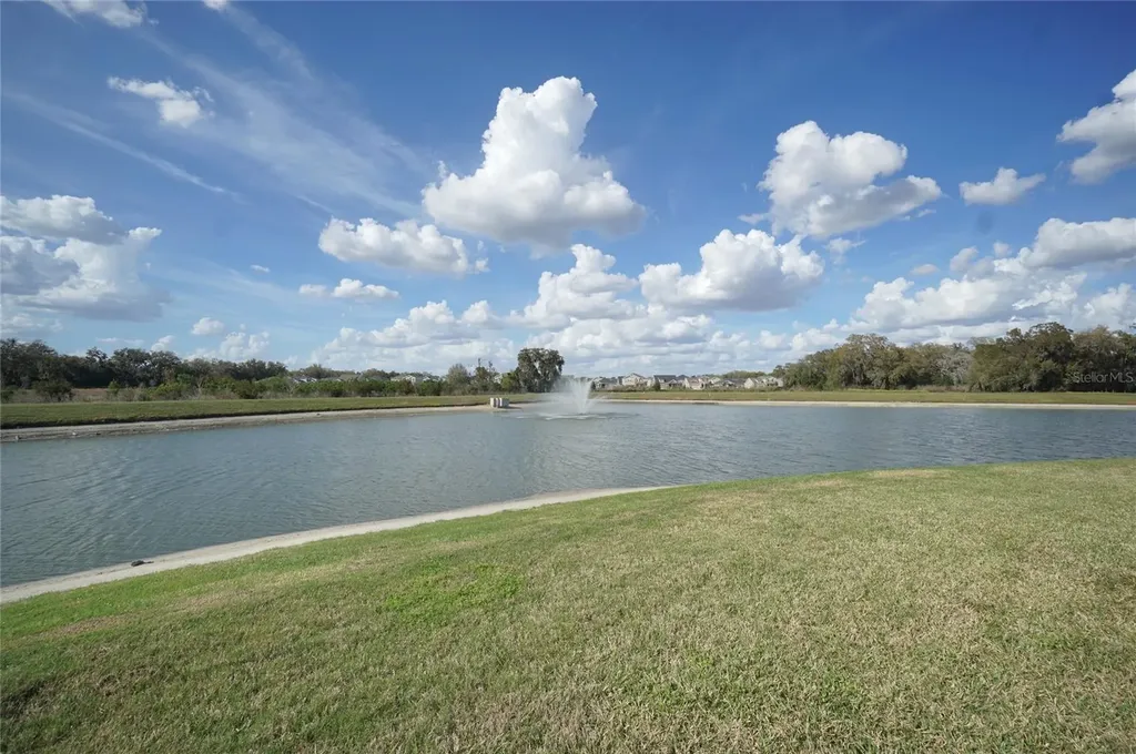 33700 Jasper Stone Drive Wesley Chapel FL 33543