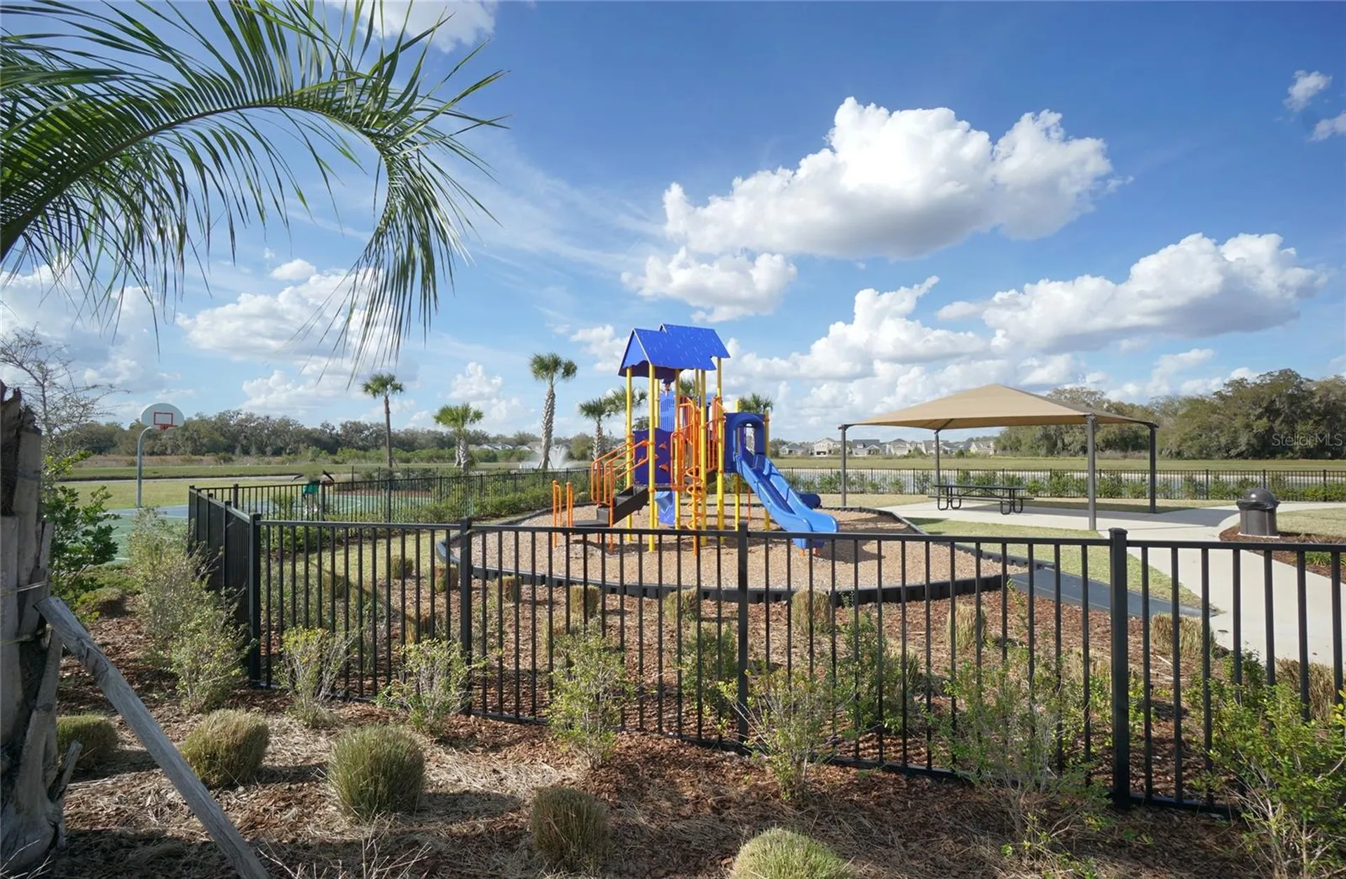 33700 Jasper Stone Drive Wesley Chapel FL 33543