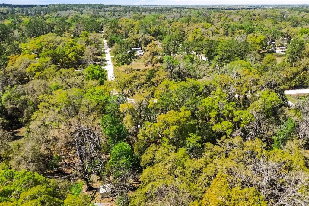 421 SW 137th Avenue Ocala FL 34481