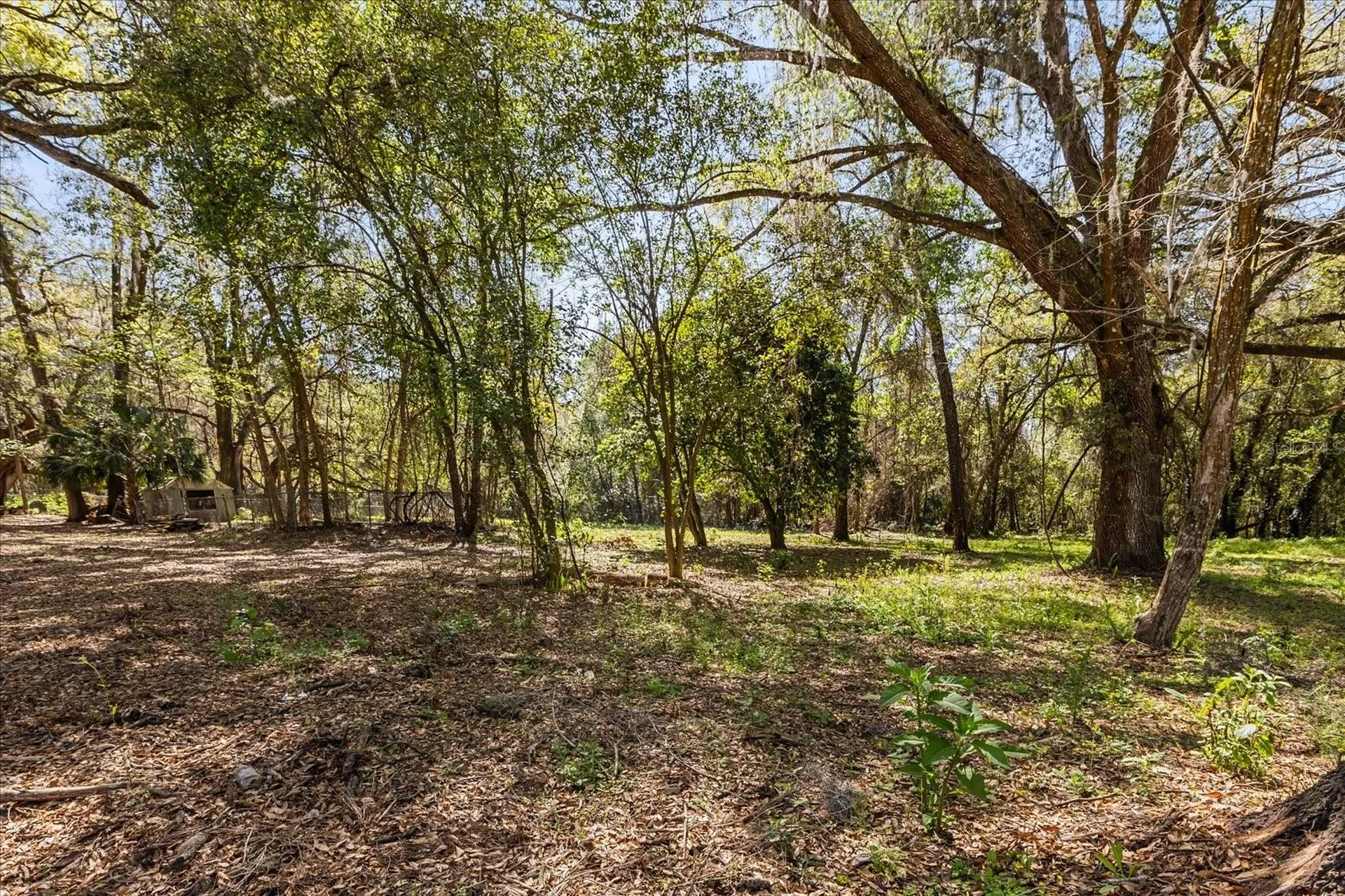 421 SW 137th Avenue Ocala FL 34481