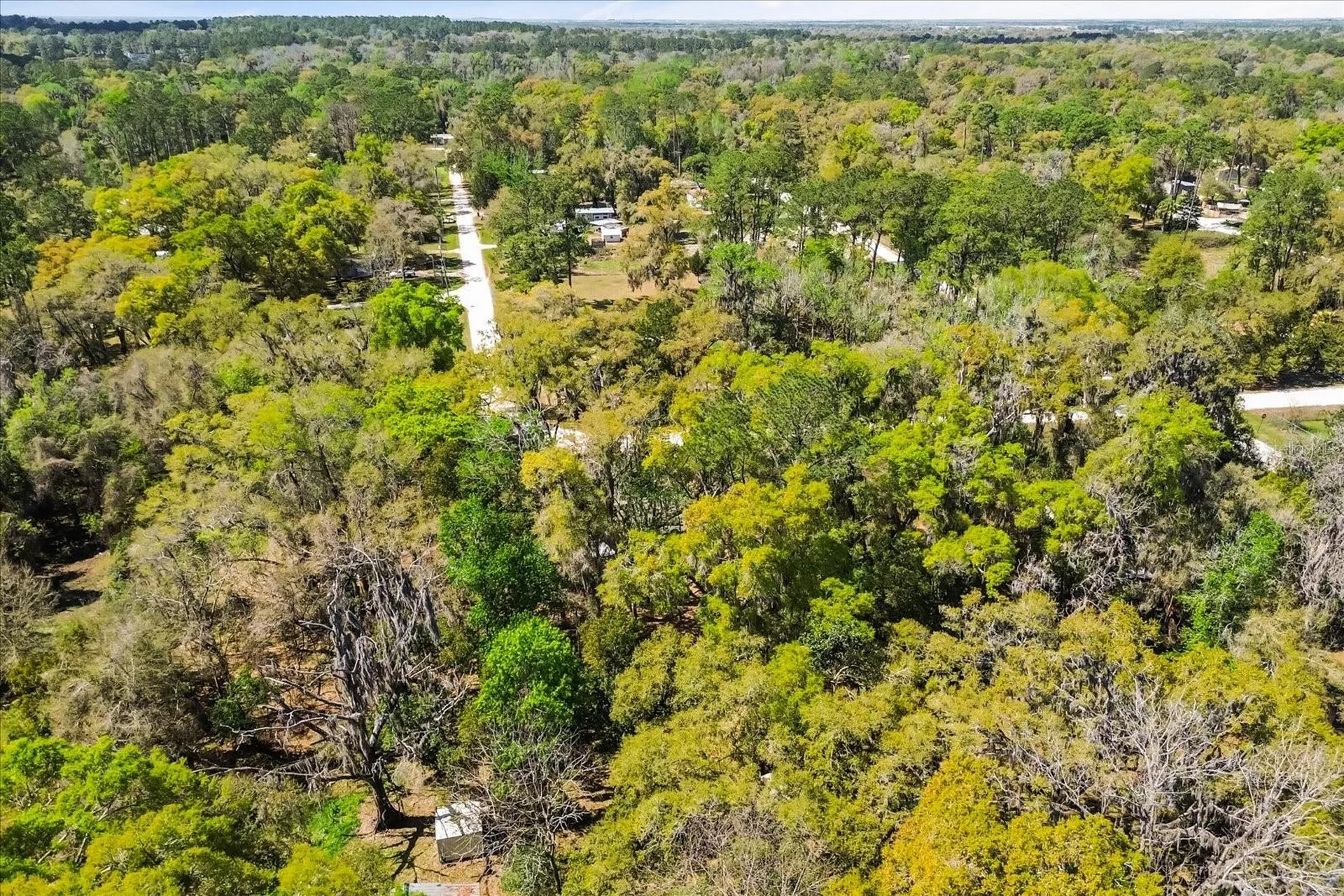 421 SW 137th Avenue Ocala FL 34481