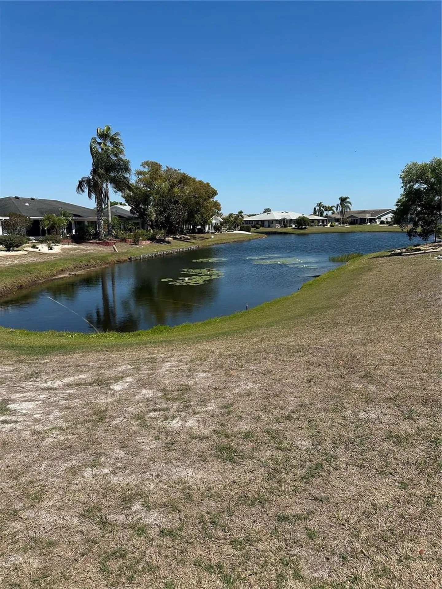 1511 Cloister Drive Sun City Center FL 33573