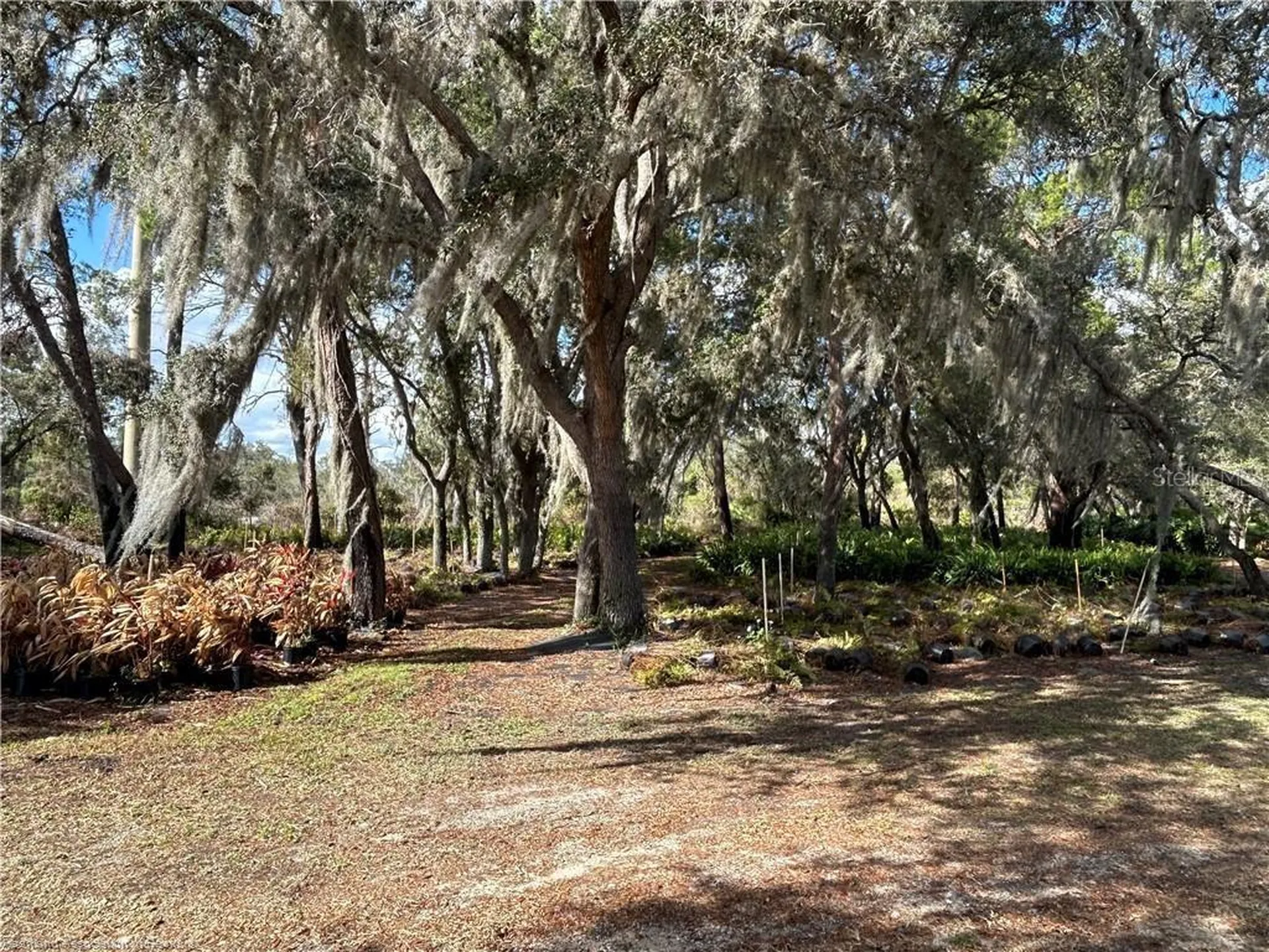 9210 County Road 635 Sebring FL 33875