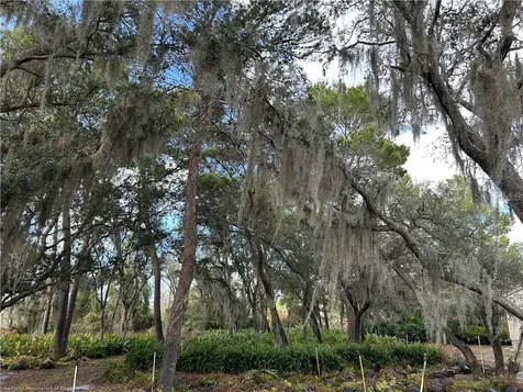 9210 County Road 635 Sebring FL 33875