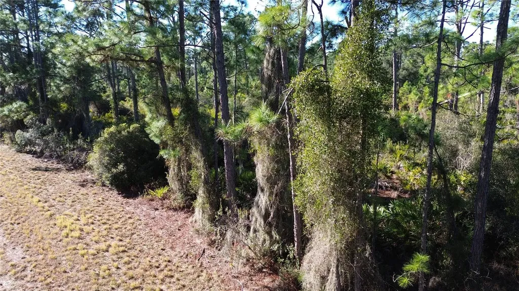 Cody Circle North Port FL 34291