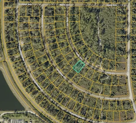 Cody Circle North Port FL 34291