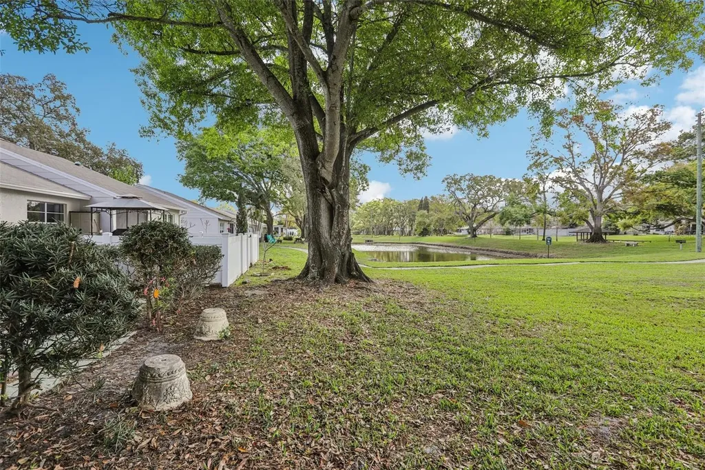 288 Salem Street Safety Harbor FL 34695