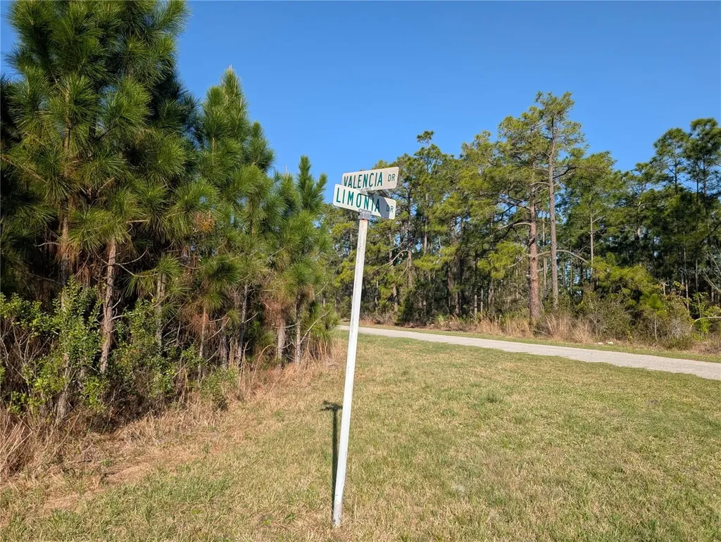 207 Valencia Drive Indian Lake Estates FL 33855