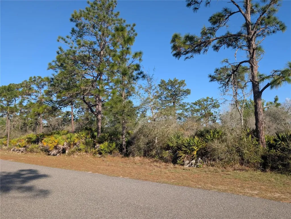 207 Valencia Drive Indian Lake Estates FL 33855