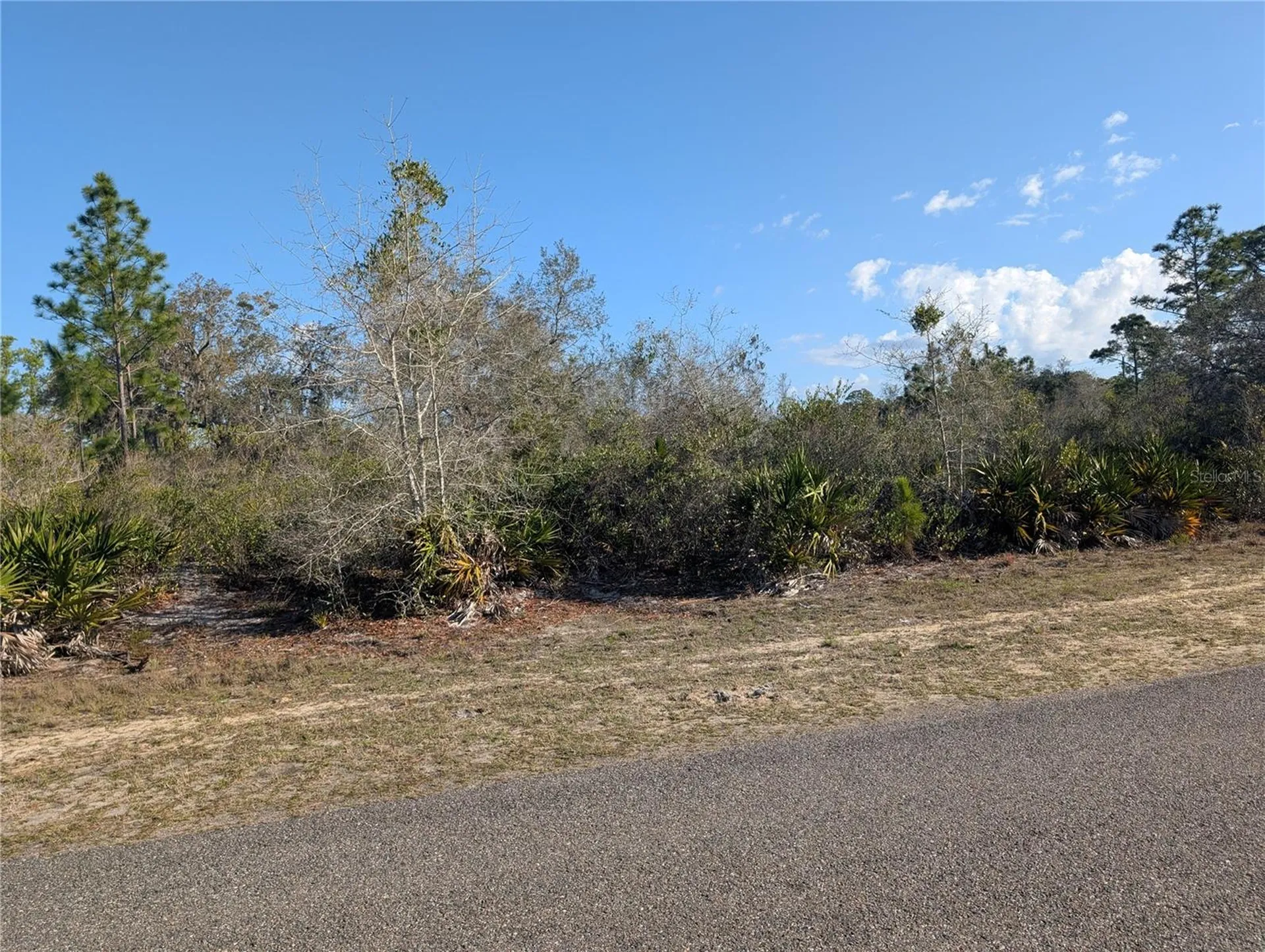 207 Valencia Drive Indian Lake Estates FL 33855