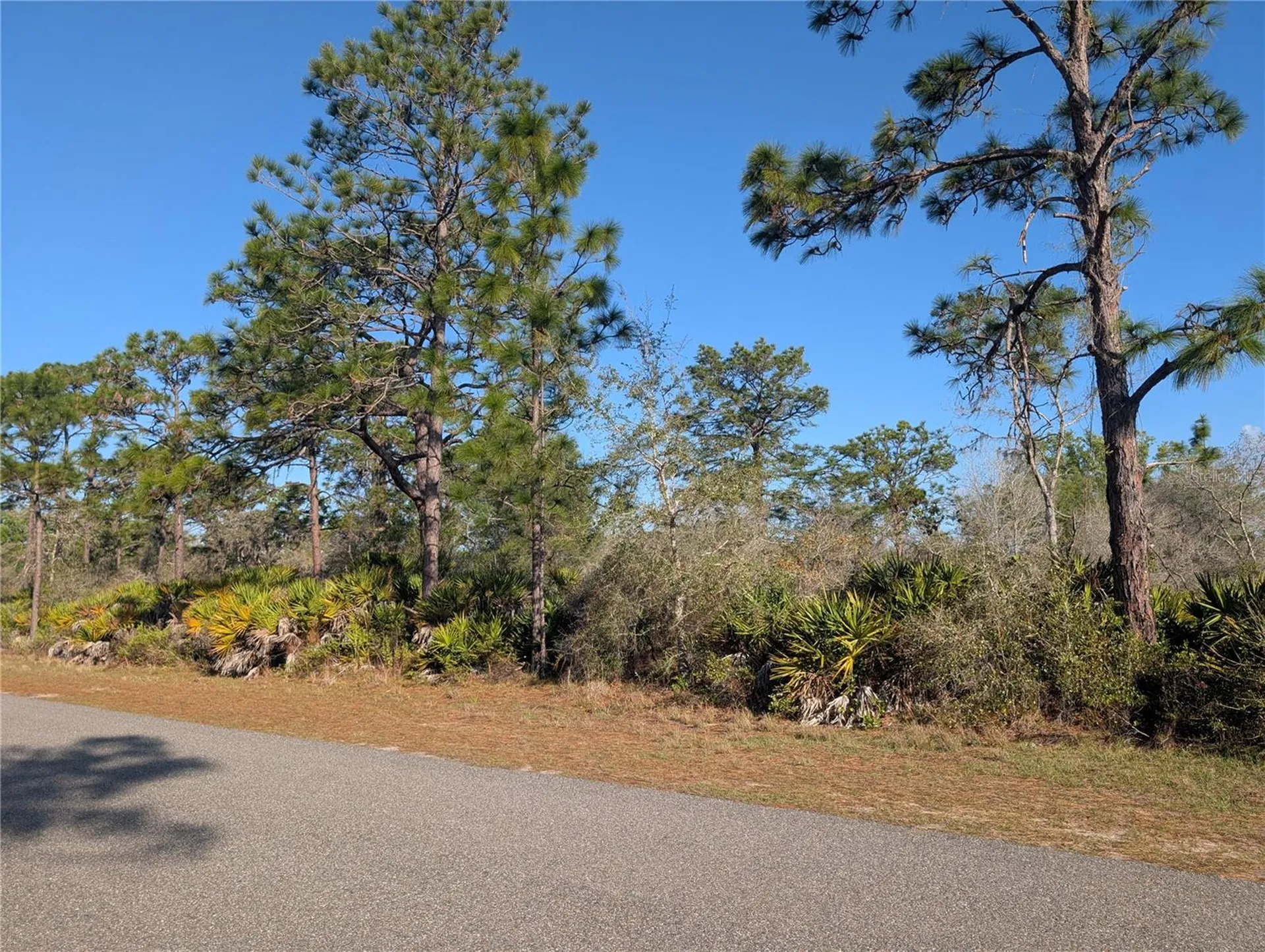 207 Valencia Drive Indian Lake Estates FL 33855