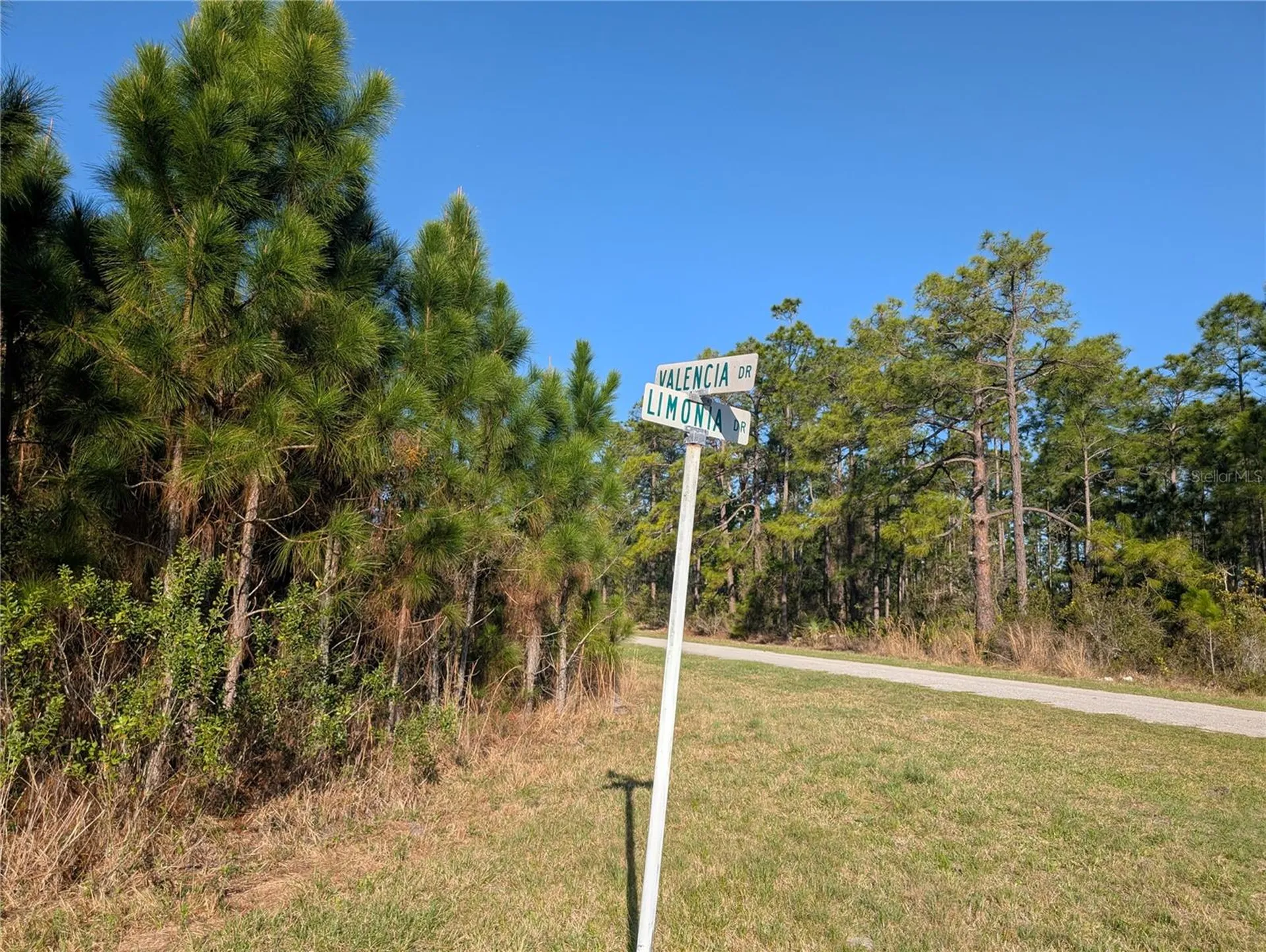 207 Valencia Drive Indian Lake Estates FL 33855
