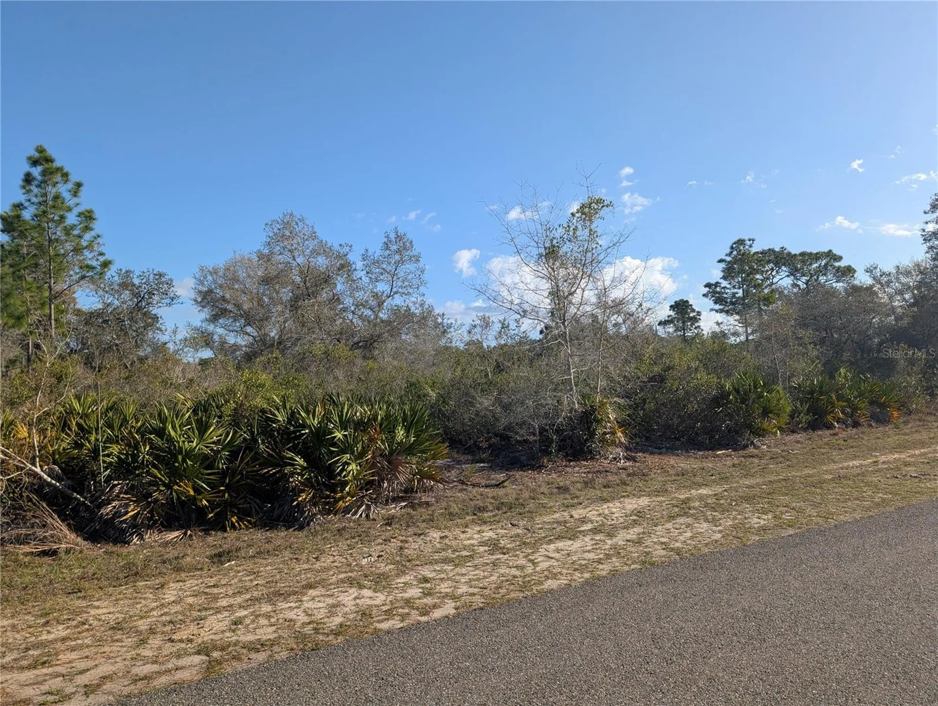 207 Valencia Drive Indian Lake Estates FL 33855