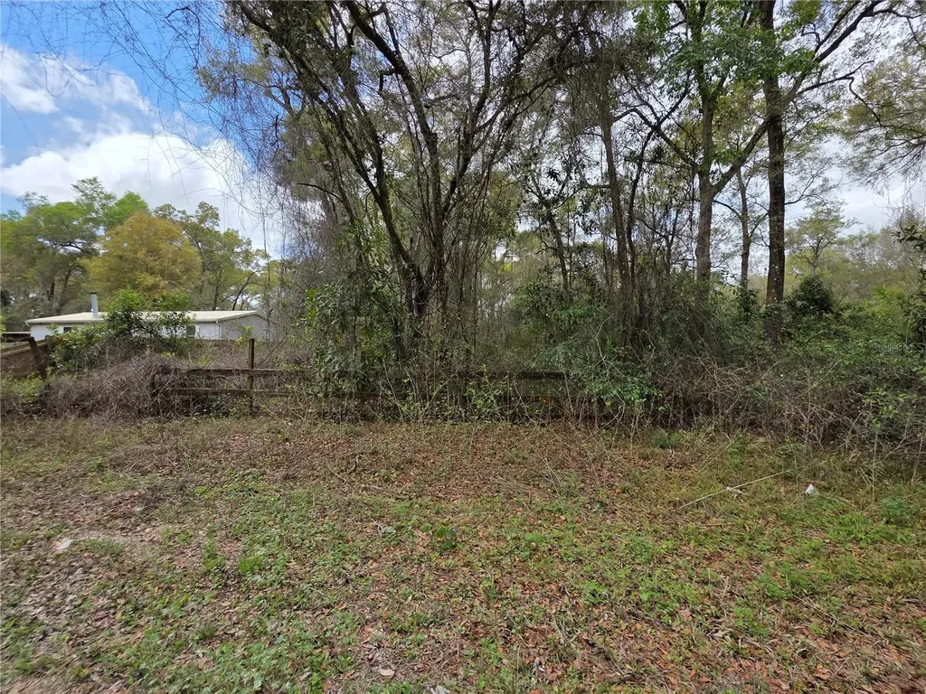 00 SE 30th Avenue Summerfield FL 34491
