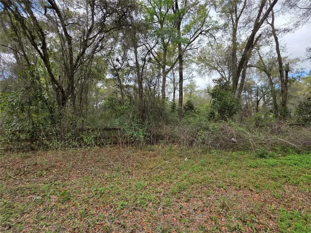 00 SE 30th Avenue Summerfield FL 34491
