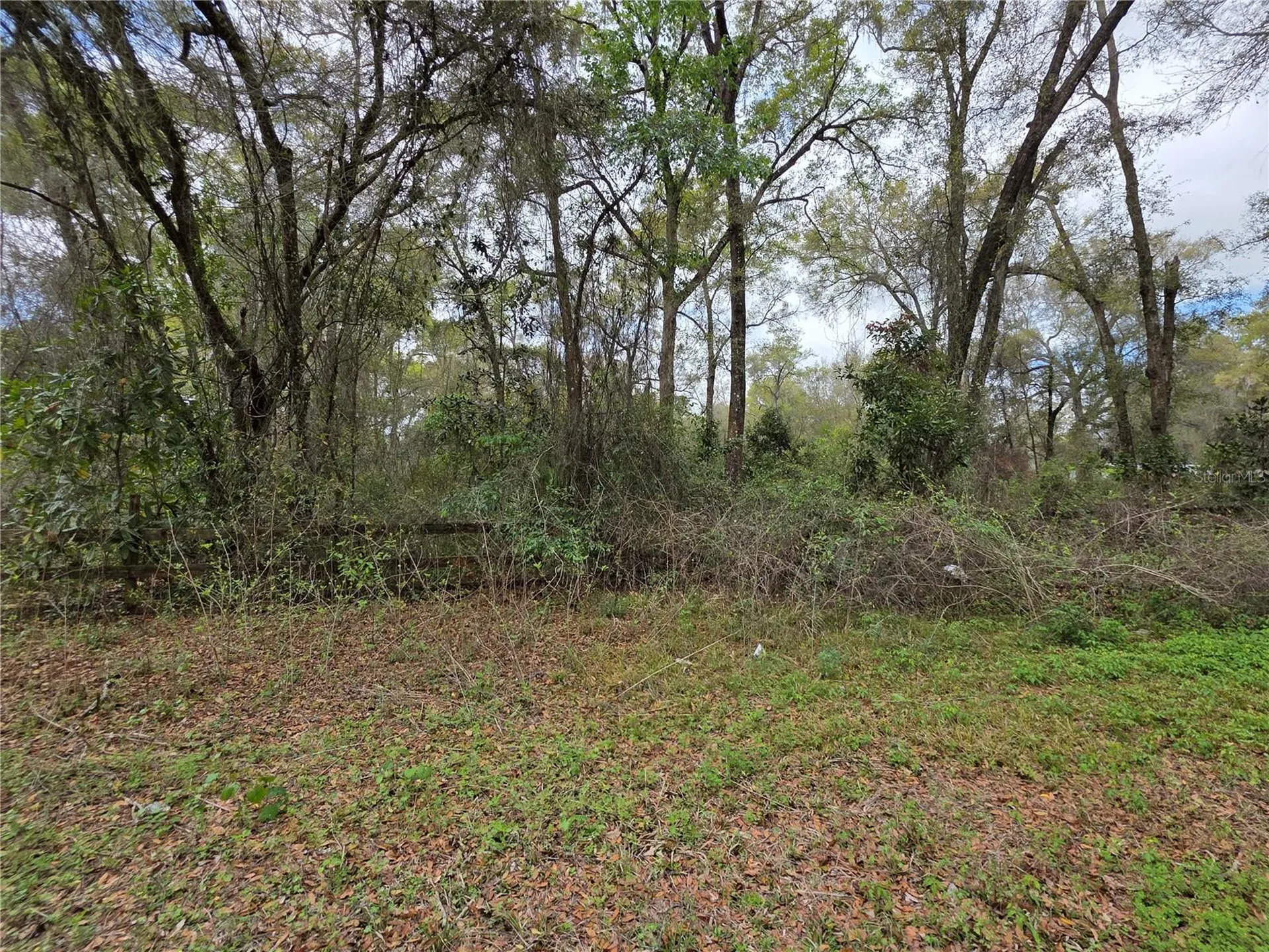 00 SE 30th Avenue Summerfield FL 34491