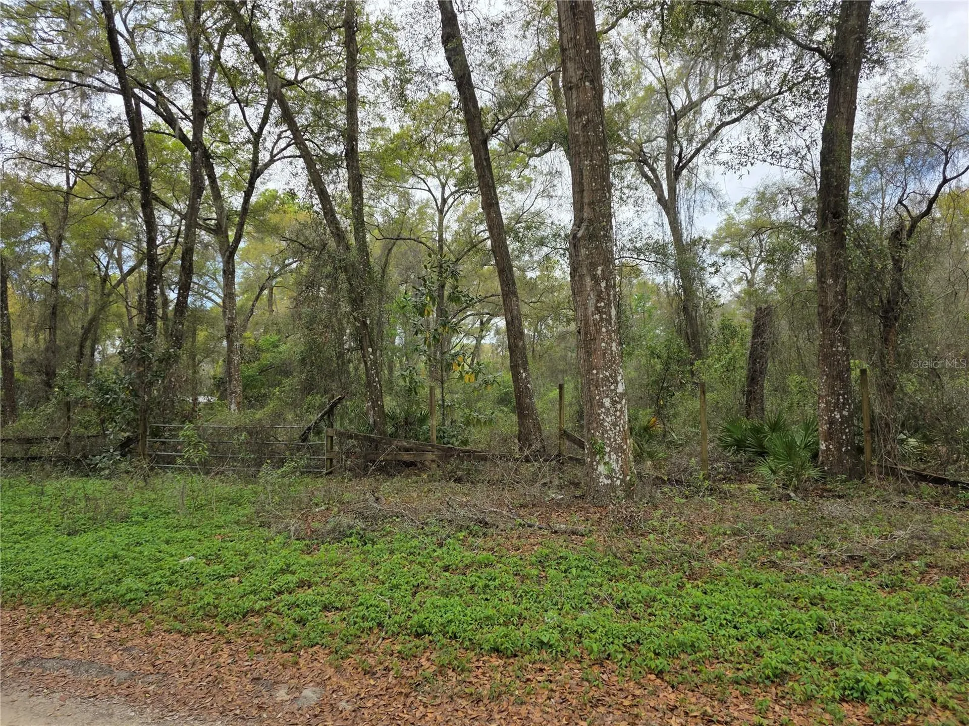 00 SE 30th Avenue Summerfield FL 34491