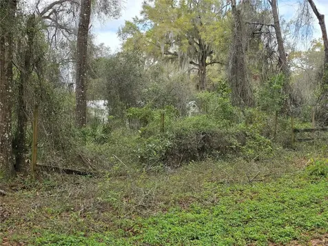 00 SE 30th Avenue Summerfield FL 34491