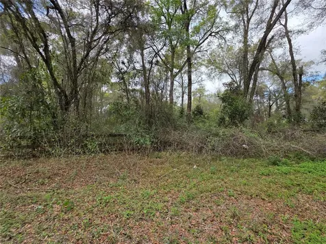 00 SE 30th Avenue Summerfield FL 34491