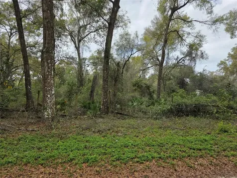 00 SE 30th Avenue Summerfield FL 34491