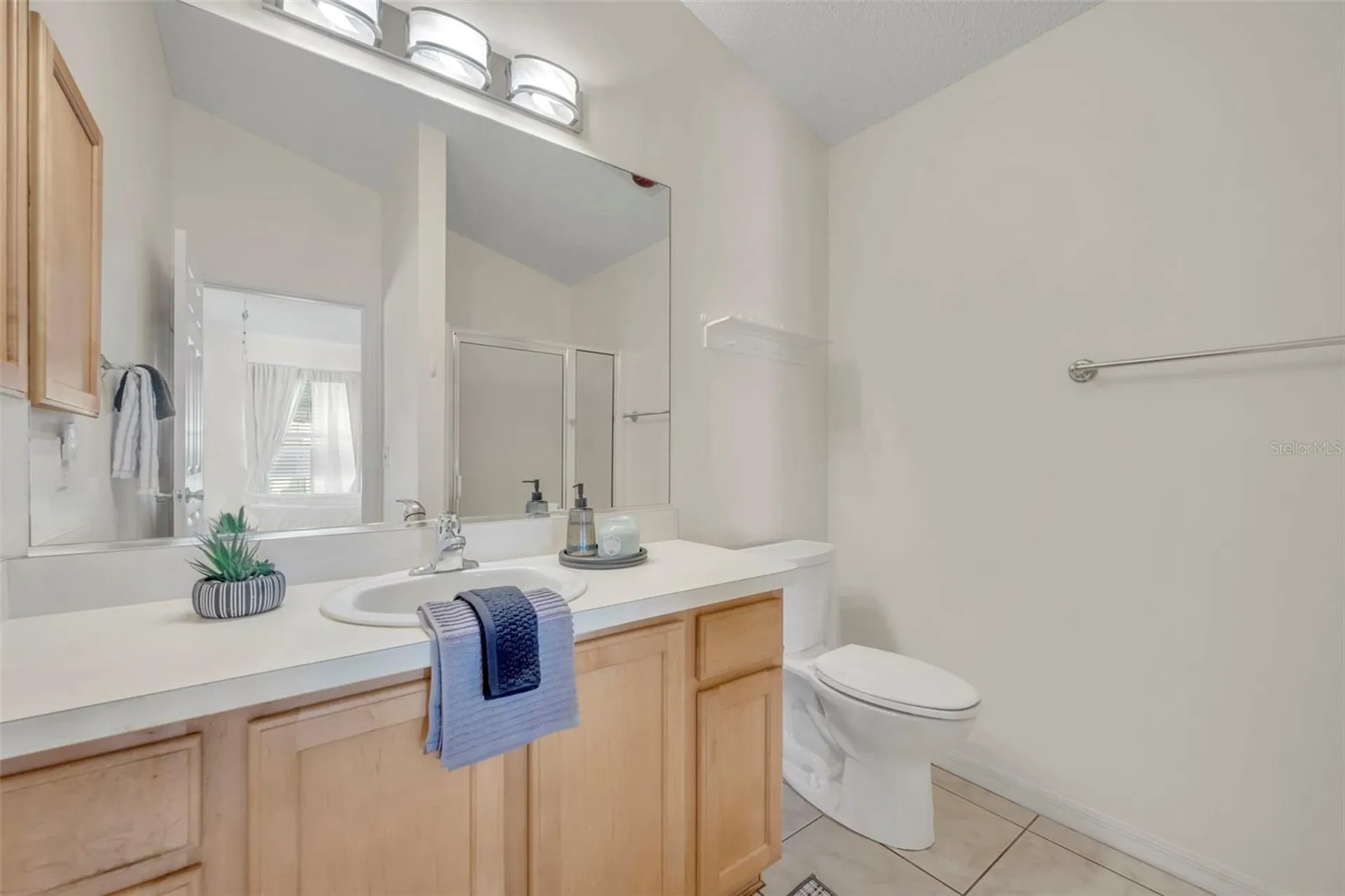 16820 SE 80th Bathurst Court The Villages FL 32162