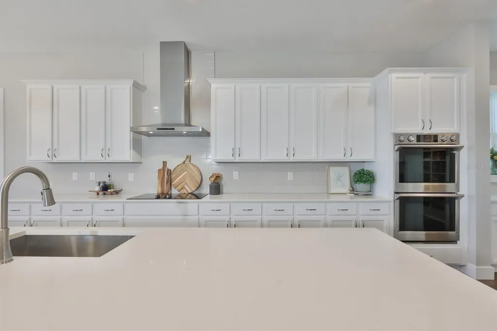 8462 Ivy Stark Boulevard Wesley Chapel FL 33545