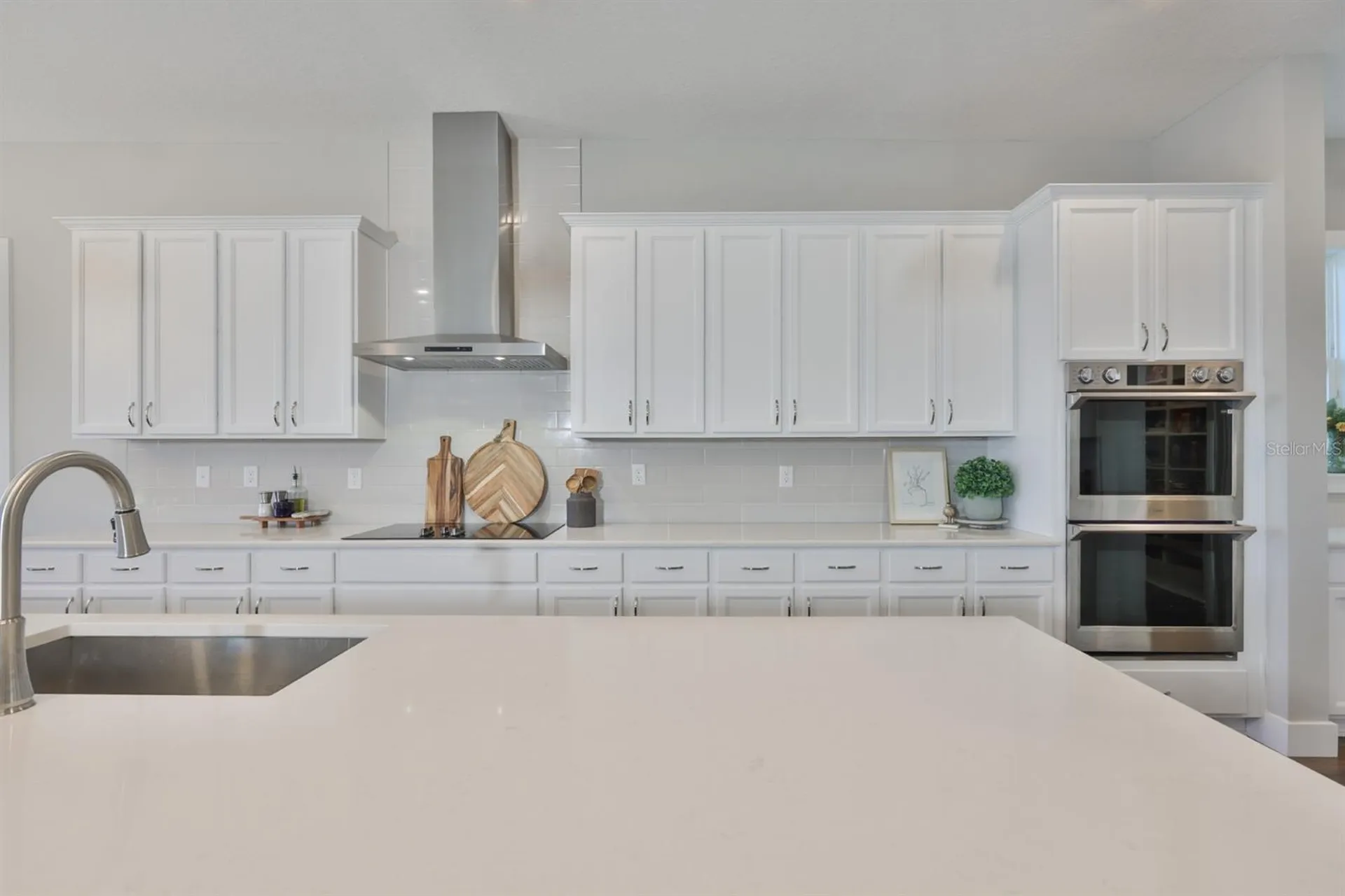8462 Ivy Stark Boulevard Wesley Chapel FL 33545