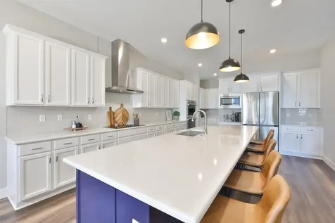 8462 Ivy Stark Boulevard Wesley Chapel FL 33545