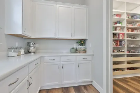 8462 Ivy Stark Boulevard Wesley Chapel FL 33545
