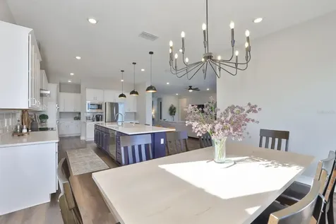 8462 Ivy Stark Boulevard Wesley Chapel FL 33545