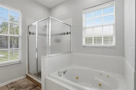 4111 Foxtail Court Kissimmee FL 34746