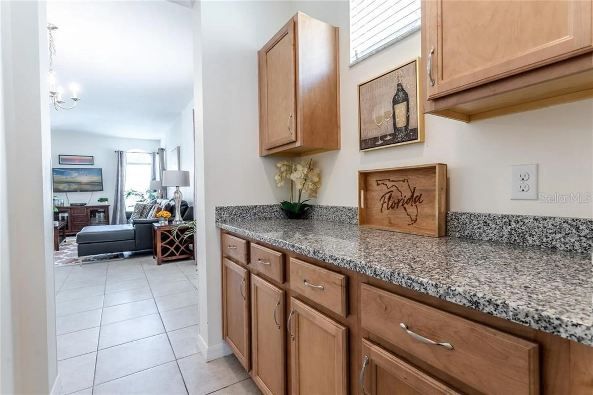 446 Orange Cosmos Boulevard Davenport FL 33837