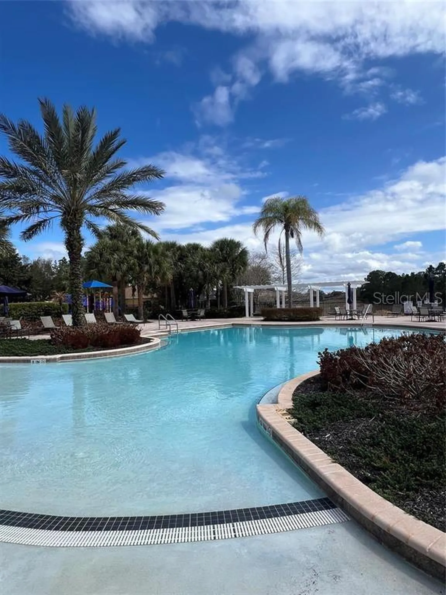 446 Orange Cosmos Boulevard Davenport FL 33837