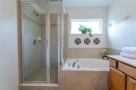 446 Orange Cosmos Boulevard Davenport FL 33837