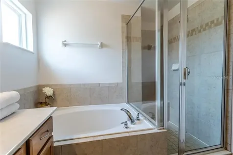 446 Orange Cosmos Boulevard Davenport FL 33837