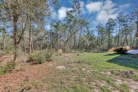 2588 County Road 245c Oxford FL 34484