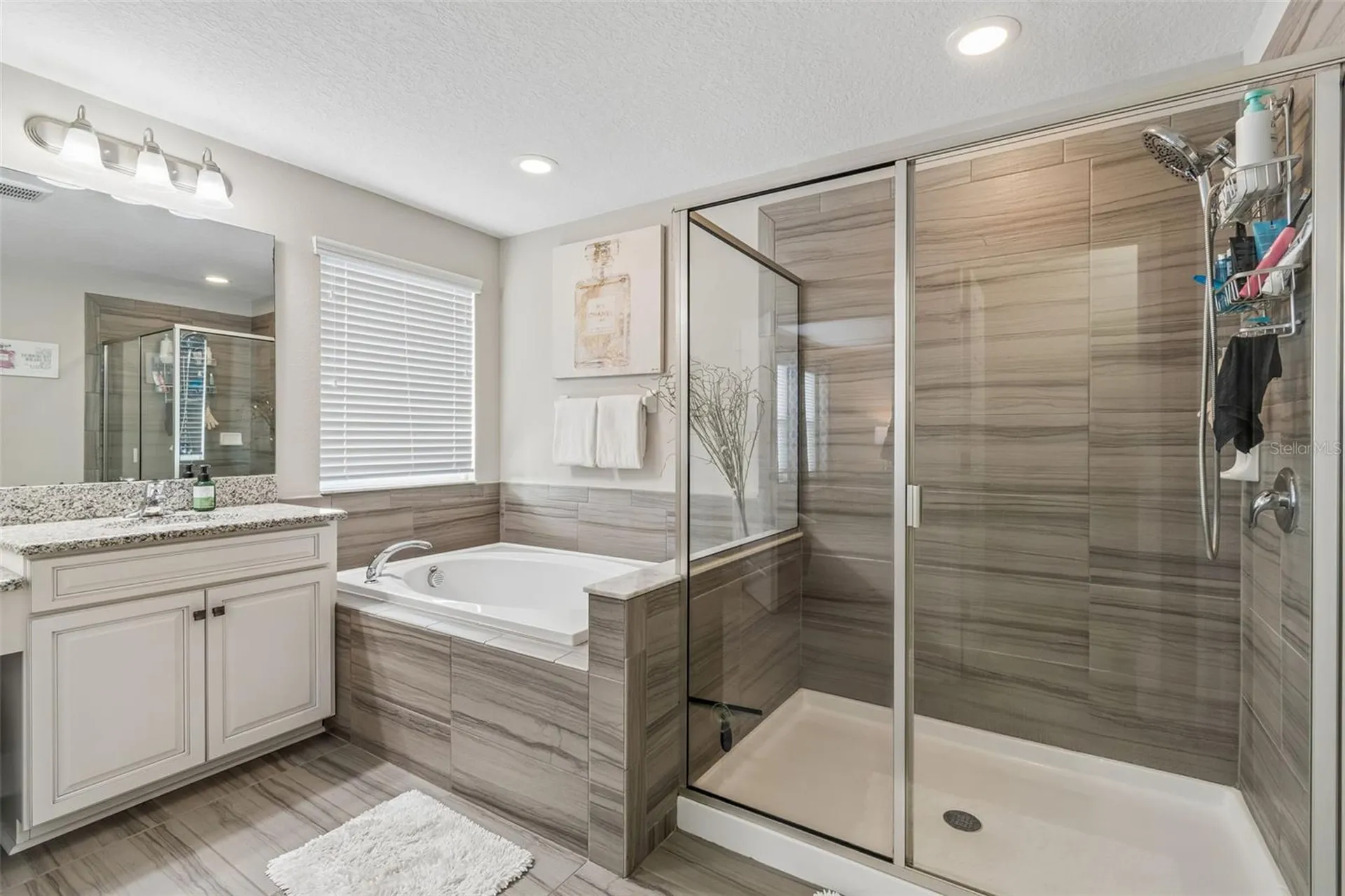 19328 Breynia Drive Lutz FL 33558