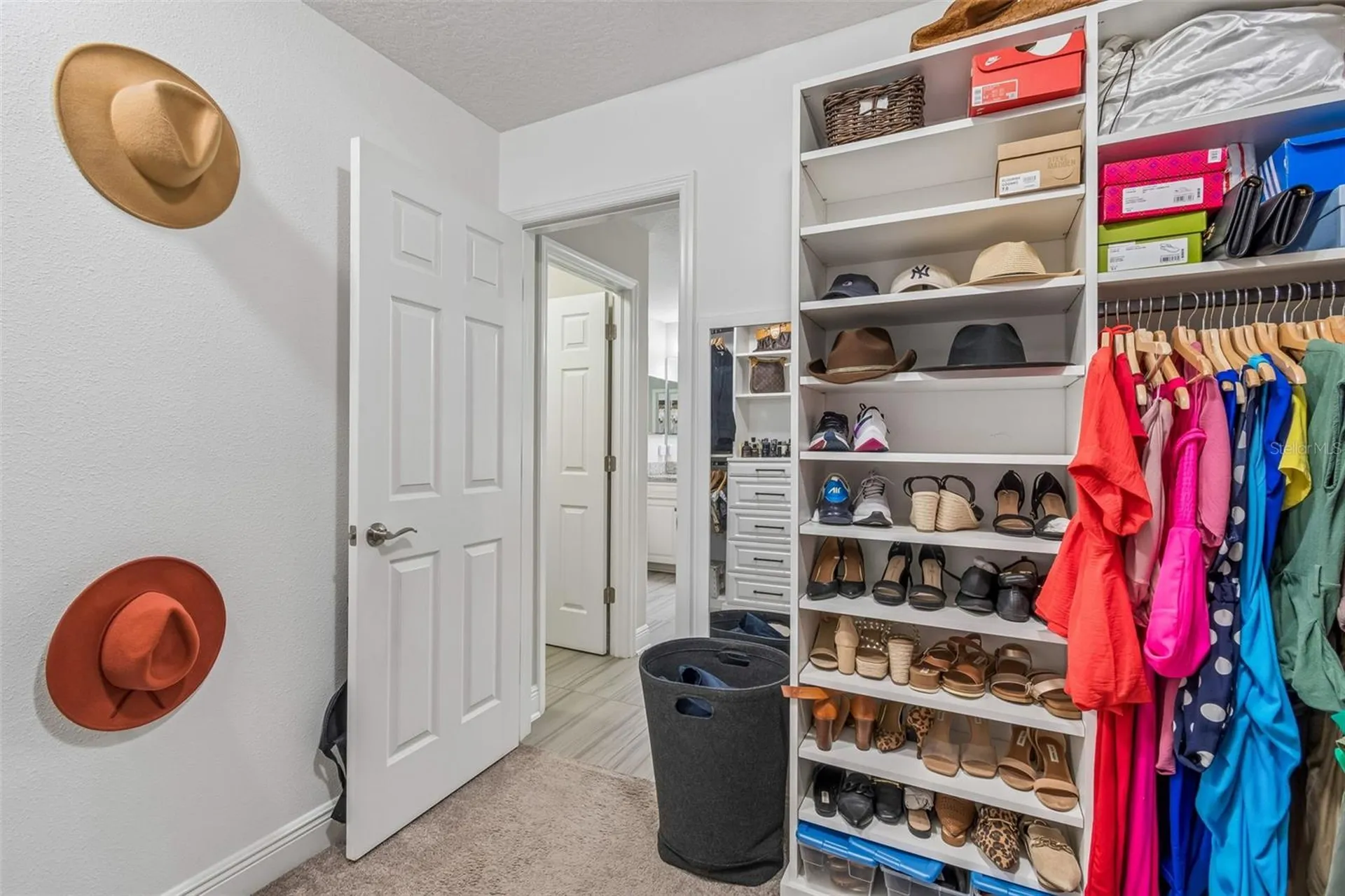 19328 Breynia Drive Lutz FL 33558