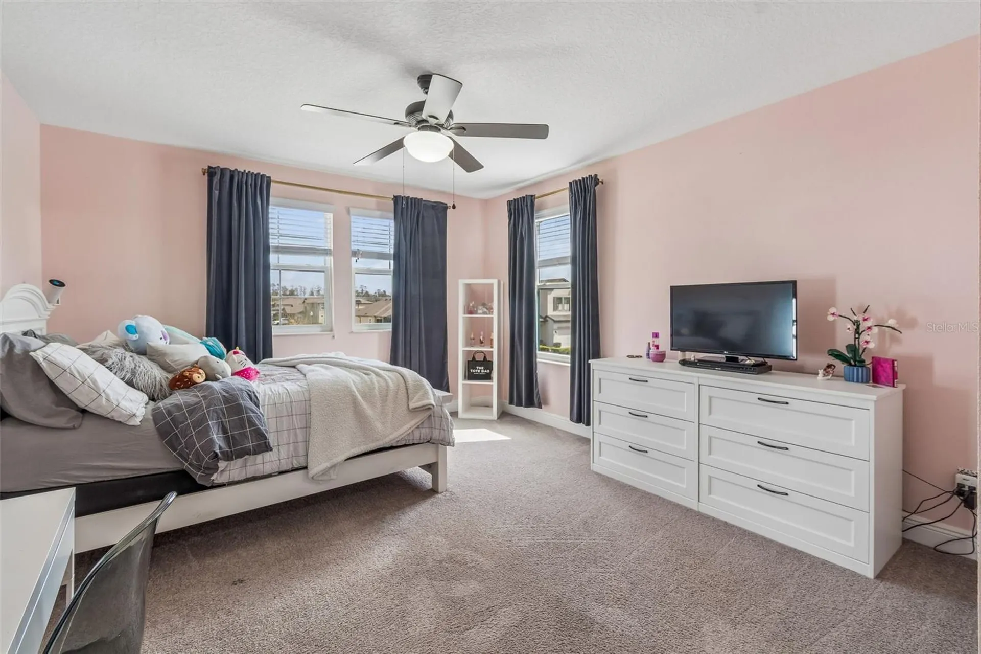 19328 Breynia Drive Lutz FL 33558