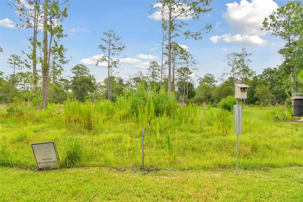 2159 Warwick Drive Oldsmar FL 34677