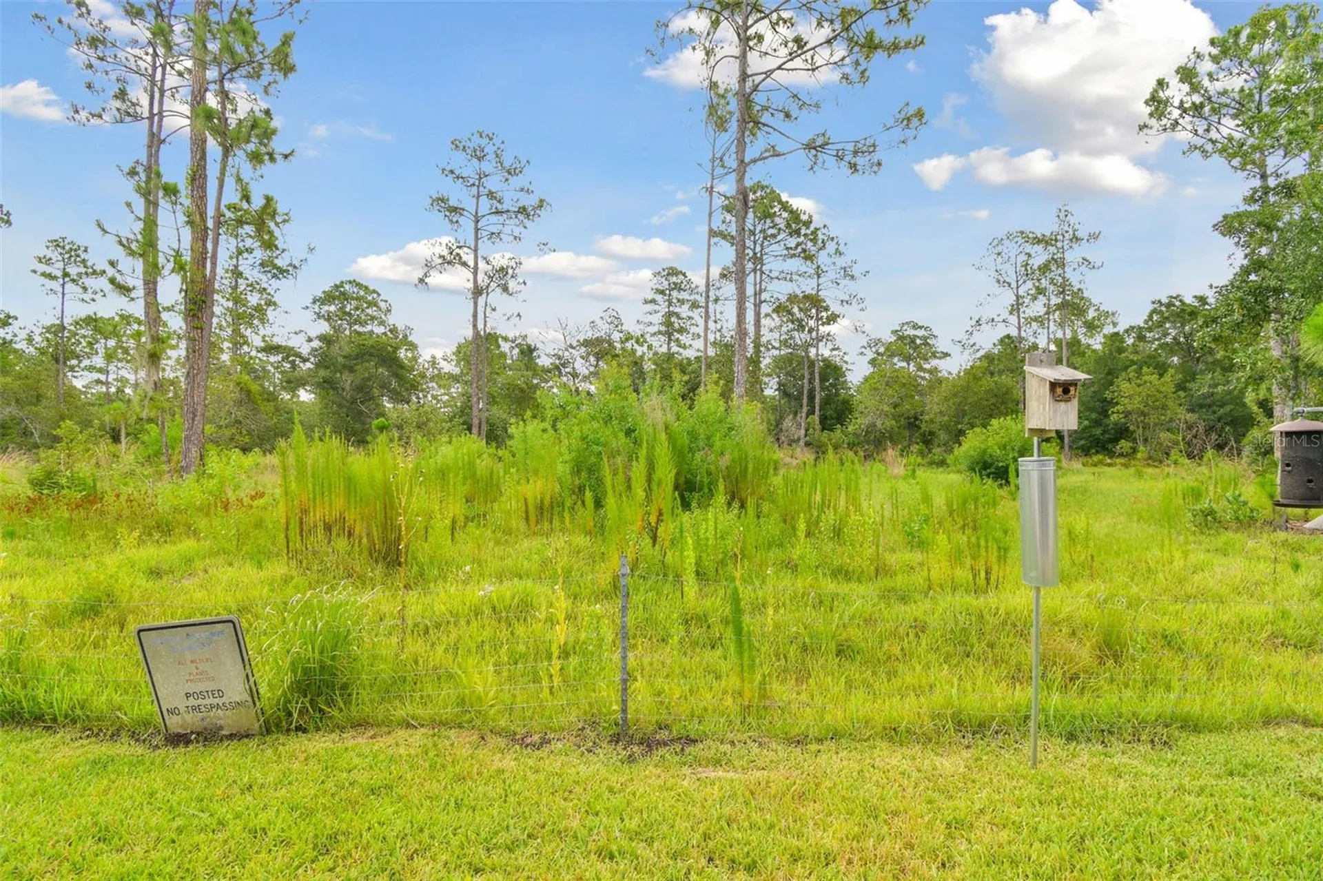 2159 Warwick Drive Oldsmar FL 34677