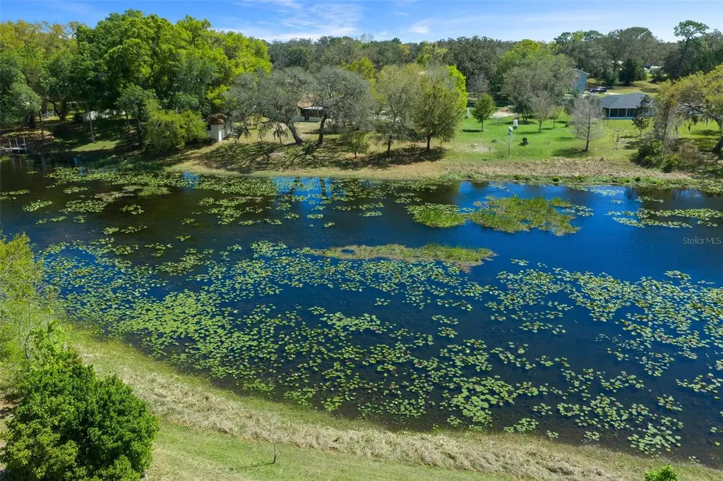 9923 E Saint Regis Court Inverness FL 34450