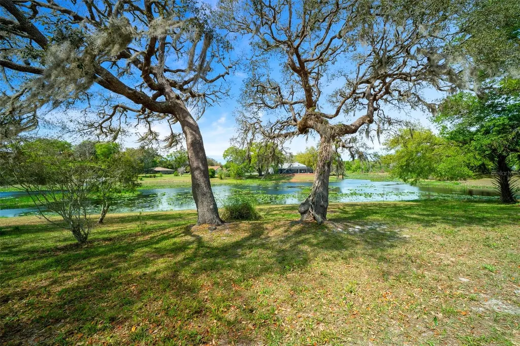 9923 E Saint Regis Court Inverness FL 34450