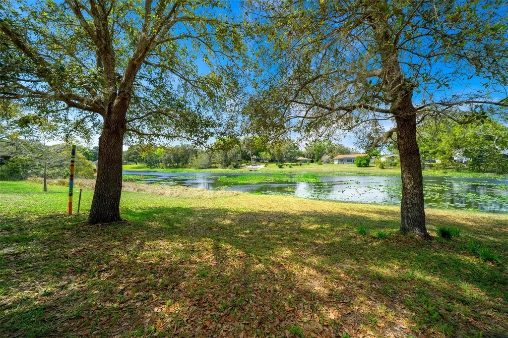 9923 E Saint Regis Court Inverness FL 34450