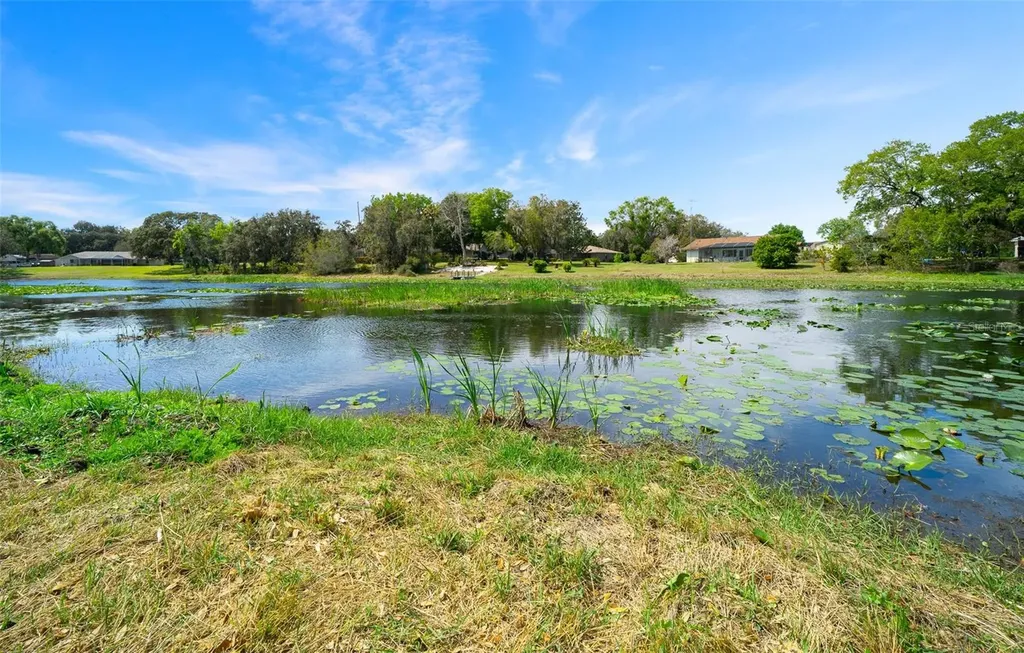 9923 E Saint Regis Court Inverness FL 34450