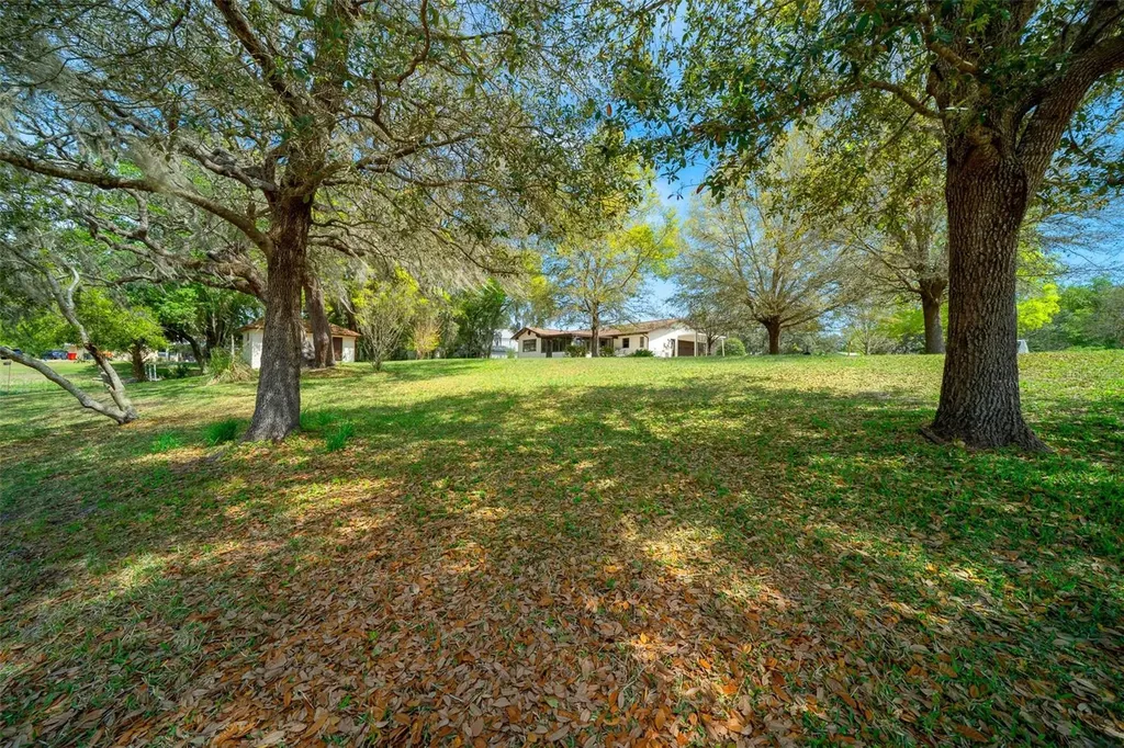 9923 E Saint Regis Court Inverness FL 34450