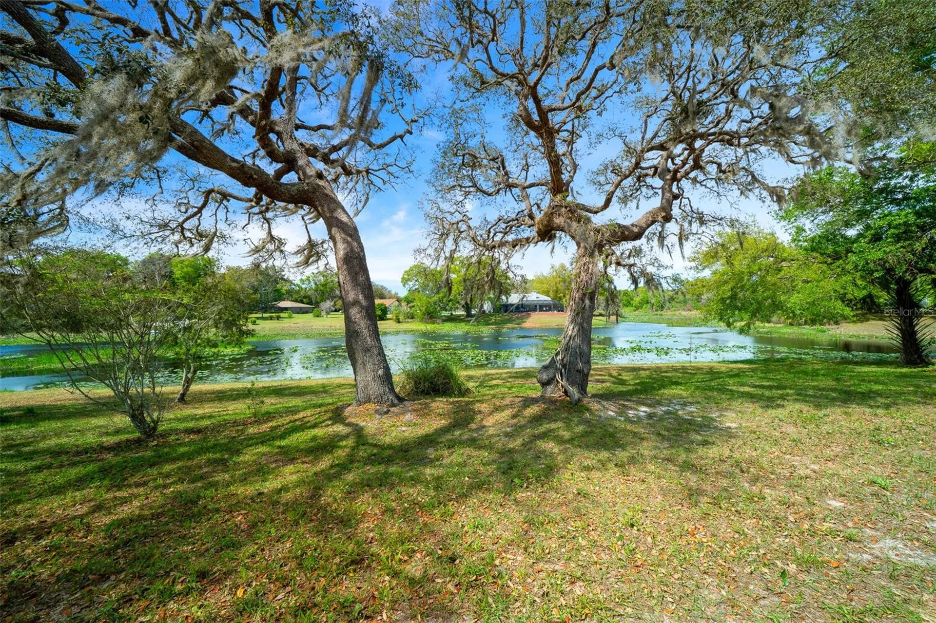 9923 E Saint Regis Court Inverness FL 34450