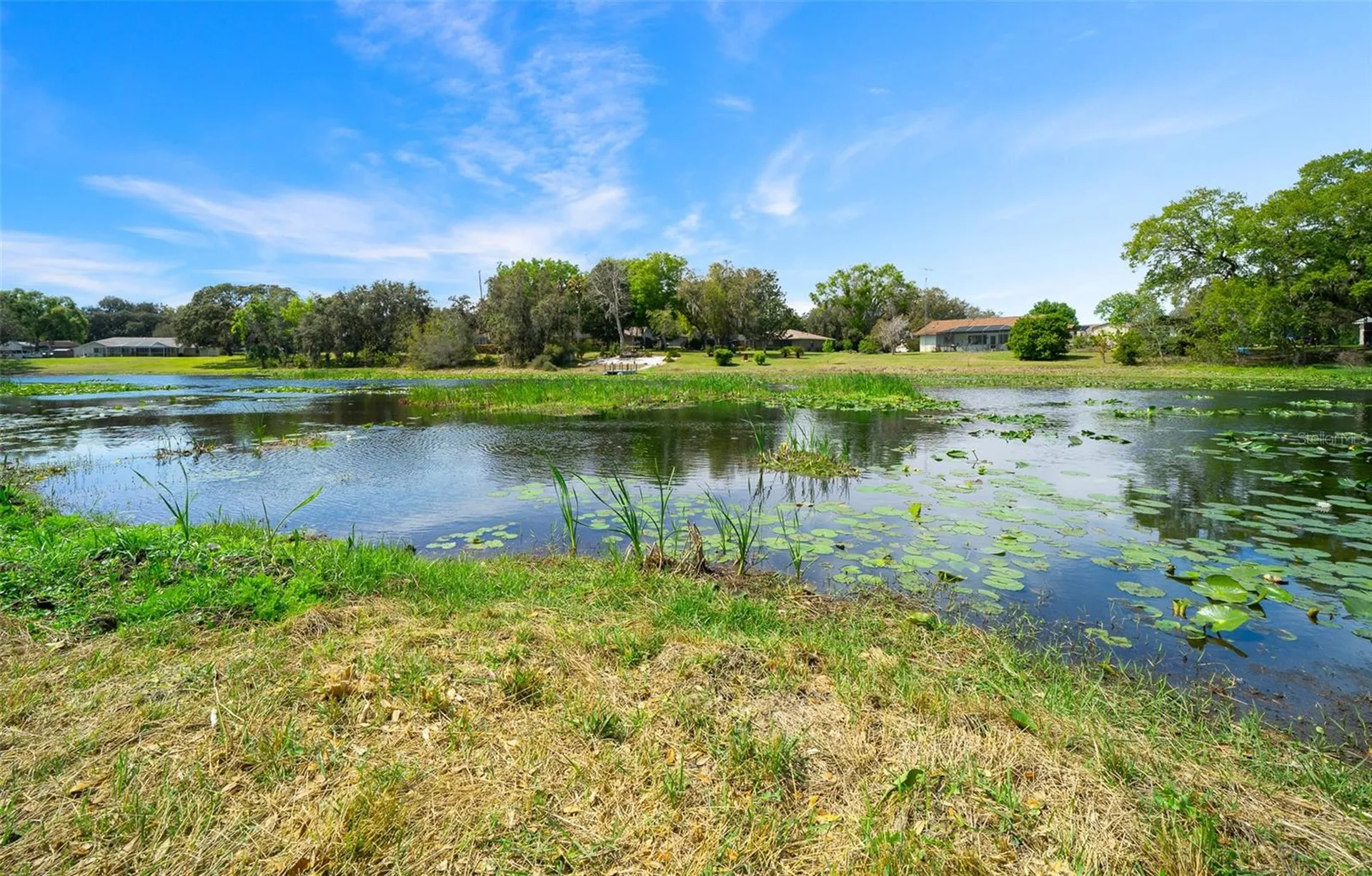 9923 E Saint Regis Court Inverness FL 34450